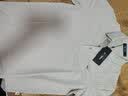 七匹狼【7A抗菌凉感】短袖T恤男夏季桑蚕丝Polo打底男士翻领短T男装上衣 803(本白)-桑蚕丝凉感速干 XL 175/92A 实拍图