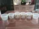 NAKAYA日本进口葱花保鲜盒生姜大蒜保鲜盒双层调料收纳盒配菜盒水果沥水收纳盒带盖厨房冰箱食品储物盒 实拍图