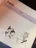 笑读小古文（4册）：画给孩子的趣味文言文   爆笑小学生漫画小古文  实拍图