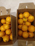 金秋福猴红橙廉江红橙正宗红江农场橙子红心湛江红光橙现摘当季特产礼盒装 净含量10.1斤精品级礼箱送礼推荐 正宗廉江红橙 自产自销 实拍图