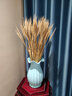 爱满（AIMAN） 天然麦穗干花花束送人新店开业大麦礼物客厅田园装饰拍摄道具 原色麦穗100支 实拍图