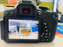 佳能/Canon 600D 700D 750D 760D 800D 二手单反相机新手入门旅游高清相机 750D+50/1.8 STM【小痰盂套机】 99新 实拍图