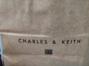 CHARLES&KEITH复古车缝线单肩包斜挎包小方包包女包女士CK2-50271184 Black黑色 S 晒单实拍图
