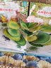 【官方正品】好好玩神奇的生命立体书升级版（套装全4册）儿童科普启蒙读物玩具书幼儿百科立体绘本童书 实拍图