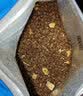 WOWO喔喔猫条 一条波波成猫幼猫猫零食猫湿粮猫咪食品 鸡肉猫草味丨12g*10条 实拍图