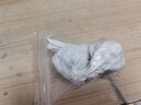 老农哥官帽狮子头文玩核桃赌青皮把玩核桃麻核桃绿皮原果绿果带皮10颗 10个狮子头 56-58mm 实拍图