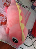 涵奕熊可爱恐龙毛绒玩具公仔抱枕床上睡觉夹腿布娃娃玩偶送女友圣诞礼物 玫红+黄色背鳍 1.2米 实拍图