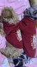 派乐特猫咪衣服拜年服冬季防掉毛新年宠物狗狗小型犬加绒保暖过年圣诞S 实拍图