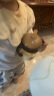 英氏奶瓶清洗剂洗奶嘴果蔬餐玩具婴儿童洗洁精泡沫柠檬酸除垢450ml*2 实拍图