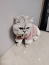 华元宠具（hoopet）猫咪衣服幼猫可爱四脚装冬季冬天保暖布偶猫无毛猫衣服宠物防掉毛 粉色兔耳朵四脚装-带绒款 L-(建议8-12斤) 实拍图