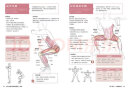 肌肉力量训练解剖图谱（新版） 实拍图