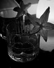 RCR进口水晶玻璃威士忌杯洋酒杯367ML*2+酒樽345ML礼盒胖东来同款 实拍图