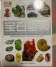 DK宝石圣典 小猛犸童书(精装) 实拍图