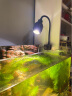 boxtech变焦水族射灯原生南美鱼缸灯三湖水草龟缸LED灯夹灯夜灯三色灯 20W旋钮款-变焦射灯（可夹1.2厘米玻璃） 实拍图
