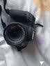佳能/Canon 600D 700D 750D 760D 800D 850D二手单反相机新手学生入门旅游高清相机 800D+18-55 IS STM【套机】 99新 实拍图