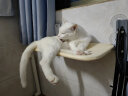 聚悠宠猫吊床猫咪吊床窗户猫晒太阳挂床阳台猫窝吸盘式玻璃吊篮猫床用品 米色透气网布款-吸盘固定 标准号(床面约30*45cm） 实拍图