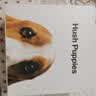 暇步士（Hush Puppies）男士皮带针扣经典复古潮流休闲百搭青年裤腰带生日礼物送男朋友 实拍图