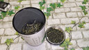 谢裕大茶叶2025新茶上市六安二级瓜片茶叶听装50g安徽绿茶春茶 实拍图