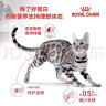 皇家猫粮 成猫猫粮 营养均衡 F32 通用粮 1-7岁 4.5KG 实拍图