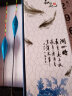 民间艺人 影系列纳米鱼漂套装装高灵敏加粗醒目鲫鱼鲤鱼野钓浮漂ZS01 实拍图