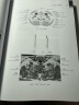 断层影像解剖学(第4版最新版)  断层影像 解剖 实拍图