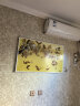欣艾迪 石墨烯碳晶墙暖壁画家用碳纤维电暖器电热板节能省电取暖器壁挂式电暖气片 600w-03 晒单实拍图