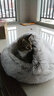 KimPets猫窝四季通用宠物小猫咪屋被子冬季保暖猫狗窝冬天用品封闭式猫床 柔制水晶绒（咖啡色） 柔软包裹 直径50cm，适合20斤内宠物 实拍图