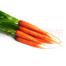 绿食者 去叶手指胡萝卜500g 水果小胡萝卜 健康轻食新鲜蔬菜沙拉食材 实拍图