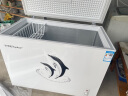 荣事达（Royalstar）冰柜家用商用大容量囤货冷柜 一级能效节能省电冷藏冷冻转换小型电冰柜 以旧换新 节能冰柜一级能效可囤280斤肉 288L 实拍图