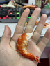 蝶岛海歌经典九节虾干即食袋装新鲜火锅食材孕妇可食大号烤虾干货零食批发 经典九节虾干500g(到手50-65只) 实拍图