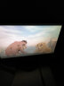 【动漫城】迪士尼迪斯尼幼儿童中英文动画片狮子王1-3全集高清卡通电影光盘DVD9碟片 实拍图