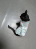 华元宠具（hoopet）猫咪衣服防掉毛蓝猫宠物布偶英短美短秋冬薄款冬季保暖可爱四脚衣 【薄绒款】俏皮猫咪背带裤-绿 M-（建议6-10斤） 实拍图