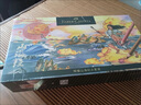 辉柏嘉（Faber-castell）水溶彩铅48色礼盒装学院级绘画套装蓝铁盒GoldfaberAqua214649美术写生 实拍图