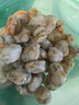海皇湾扇贝肉 新鲜蒜蓉粉丝扇贝原料 冷冻海鲜水产 扇贝肉 1000g（20-40只/500g） 实拍图