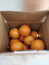集年鲜江西信丰赣南脐橙现摘甜橙子生鲜水果原产地发货年货礼盒彩箱 3斤小果含箱（100-149g) 实拍图