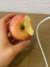 京鲜生烟台红富士苹果12个 净重2.1kg单果160-190g 新鲜水果礼盒 实拍图