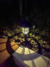 倍绿 太阳能草坪灯户外庭院灯防水景观家用led装饰灯地插灯花园氛围灯 双环草坪灯 暖白+彩色（4只装） 实拍图