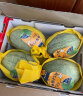海南哈密瓜蜜瓜甜瓜4粒原箱装  单果1.25kg起 新鲜水果 水果礼盒 实拍图