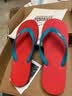 hippobloo河马泰国进口乳胶人字拖男女舒适防滑橡胶凉拖鞋海边沙滩ins潮拖 兰红兰 44 (泰12)【正码正拍】 实拍图