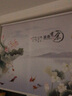 沙薇尔 卷帘窗帘定制 客厅卧室阳台书房遮光防水晒卷拉式免打孔升降窗帘 富贵有余图 定制尺寸 实拍图