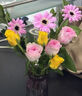 京东鲜花自然PRO隔周包年鲜花礼品卡插花结婚纪念日生日礼物女源头直发 实拍图