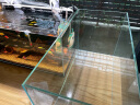 长锐金晶超白玻璃鱼缸乌龟缸裸缸生态溪流缸全套造景套餐 金晶超白鱼缸 60x30x35cm【6mm】+礼包 晒单实拍图