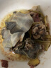 片言片鱼【活鲜】千岛湖清水鳖甲鱼 4龄母鳖750g 1只源头直发 包邮 实拍图