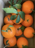泰汇吃四川爱媛38号果冻橙 新鲜当季水果柑橘桔子时令 5斤（80-85MM）品质豪华果净4.5 实拍图