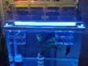 爬将军鱼缸滴流盒上滤盒三合一净水过滤器外挂式草缸上置循环系统过滤盒 3盒【至尊套餐】+滤材+底吸泵+大礼包 实拍图