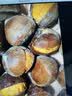 迁西速冻冰板栗带壳开口栗子熟板栗开袋即食河北特产板栗油栗子 迁西冰板栗 500g 2袋 夏日消热 京东配送 实拍图