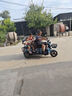 老爷车父亲节礼物实用送爸爸冰丝短袖t恤男夏季凉感中年人男士polo衣服 晒单实拍图