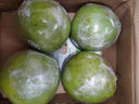 晨木鲜生 泰国青柚新鲜蜜柚 进口大果青皮柚子水果 青柚4个装约9-10斤 实拍图