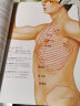 人体经络穴位图册（精绘大图版） 晒单实拍图