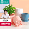 墨斗鱼花盆塑料家用轻奢高级感仿陶瓷树脂阳台多肉带托盘雅典大号混色 实拍图
